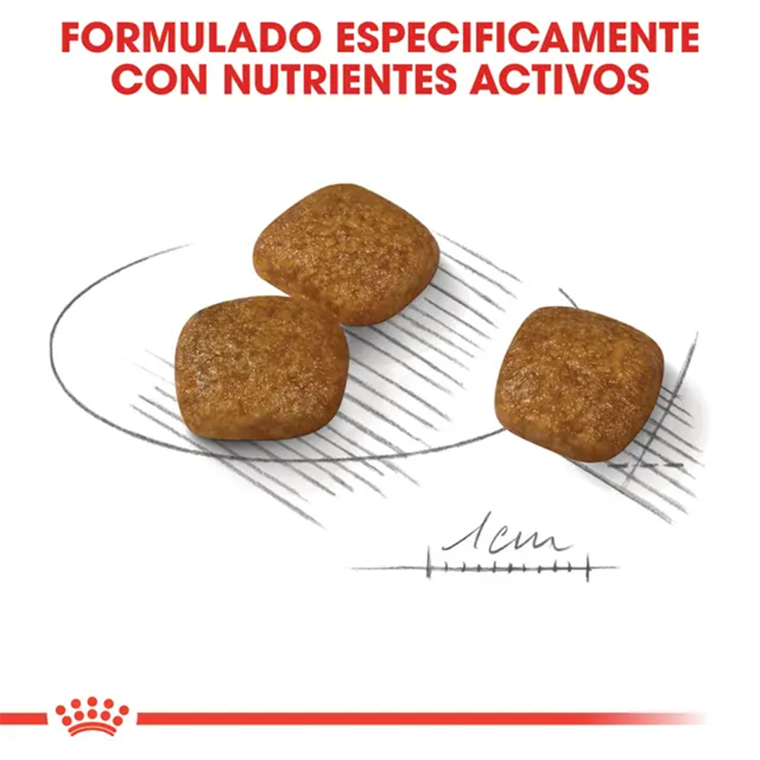 ROYAL CANIN MINI URINARY CARE 3KG - Imagen 5