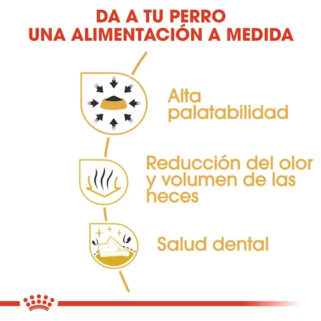 ROYAL CANIN CHIHUAHUA ADULT 1.5KG - Imagen 3