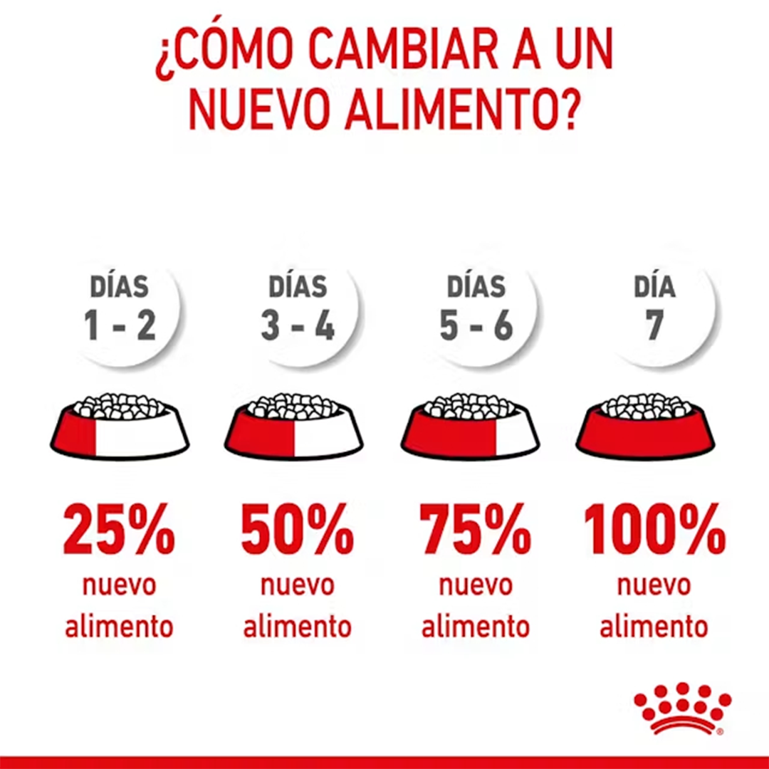 ROYAL CANIN MINI STARTER M&B 4KG - Imagen 4