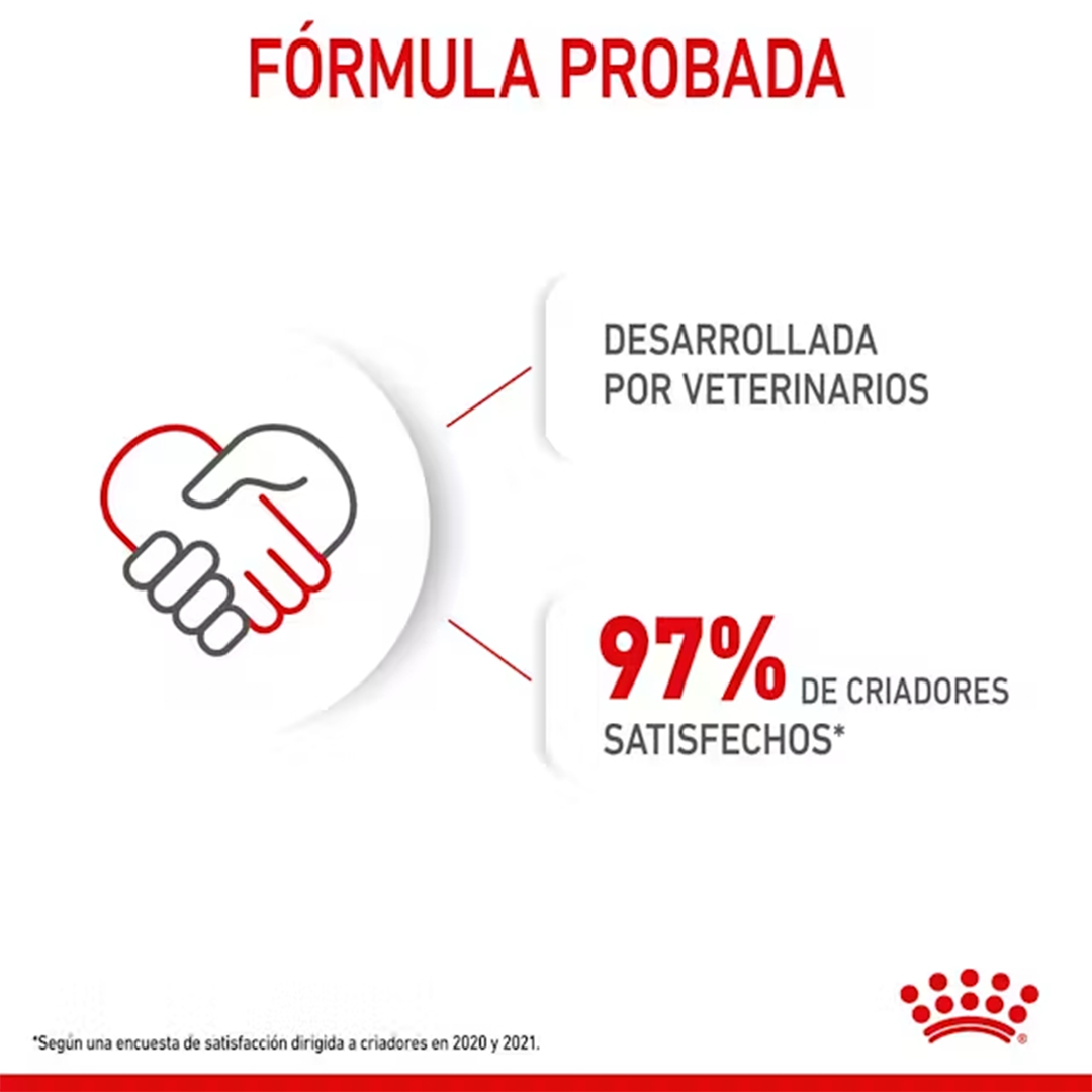 ROYAL CANIN MINI PUPPY 800GR - Imagen 4