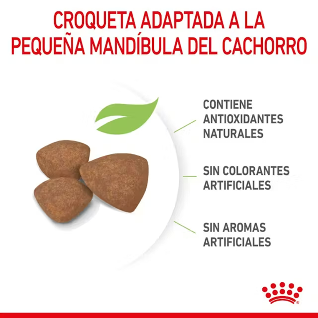 ROYAL CANIN MINI PUPPY 800GR - Imagen 3