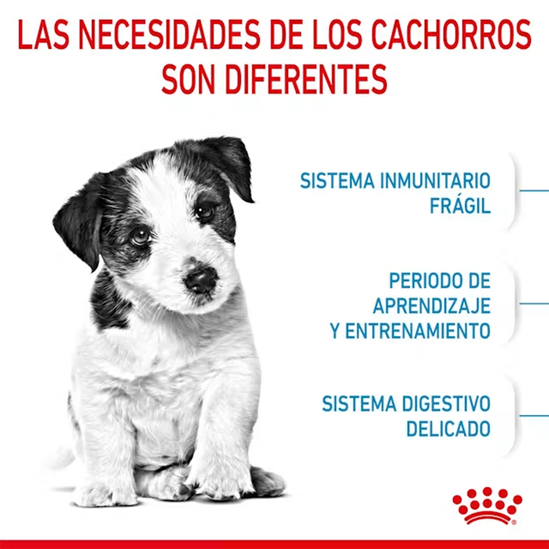 ROYAL CANIN MINI PUPPY 800GR - Imagen 6
