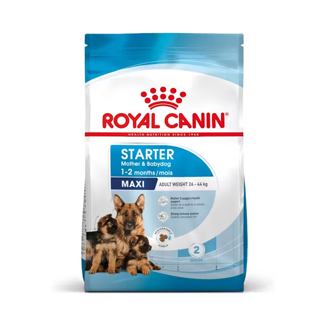 ROYAL CANIN MAXI STARTER M&B 4KG