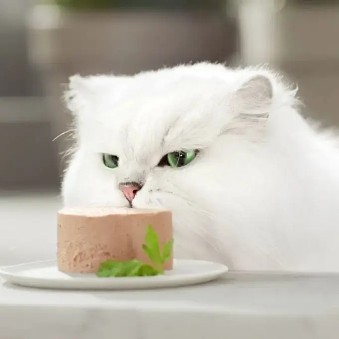 FRISKIES GATOS GOLD MOUSSE BUEY 85G - Imagen 2