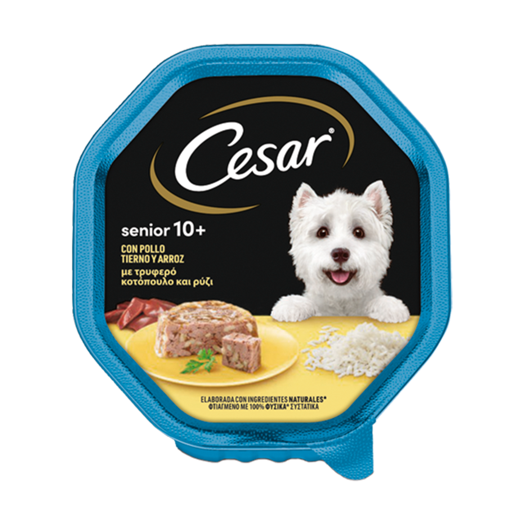 CESAR TARRINA SENIOR 10+ POLLO 150 G