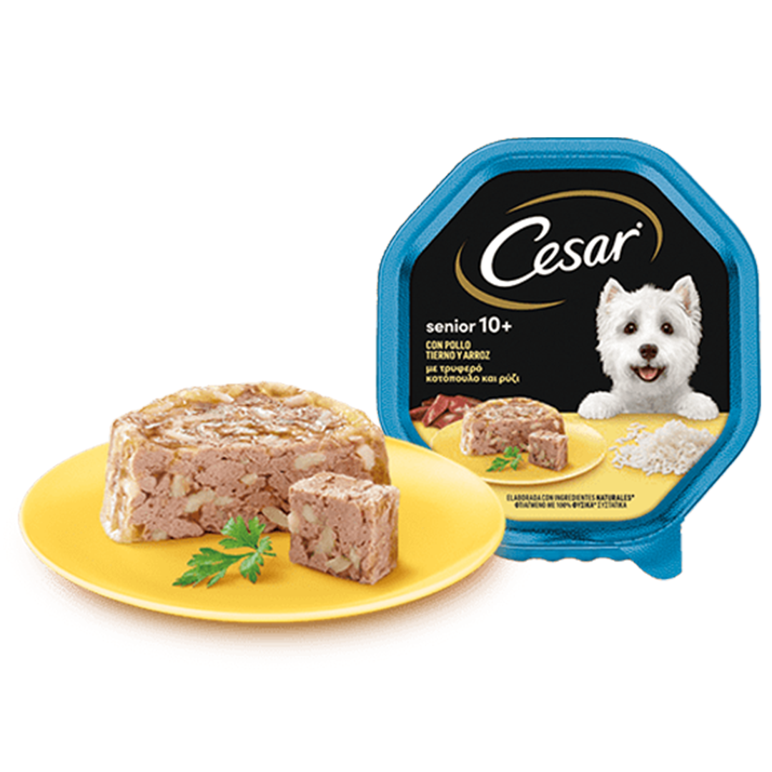 CESAR TARRINA SENIOR 10+ POLLO 150 G - Imagen 2