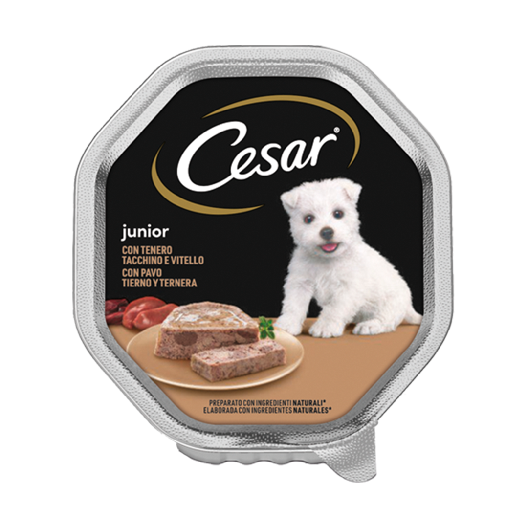 CESAR PUPPY 150 GR