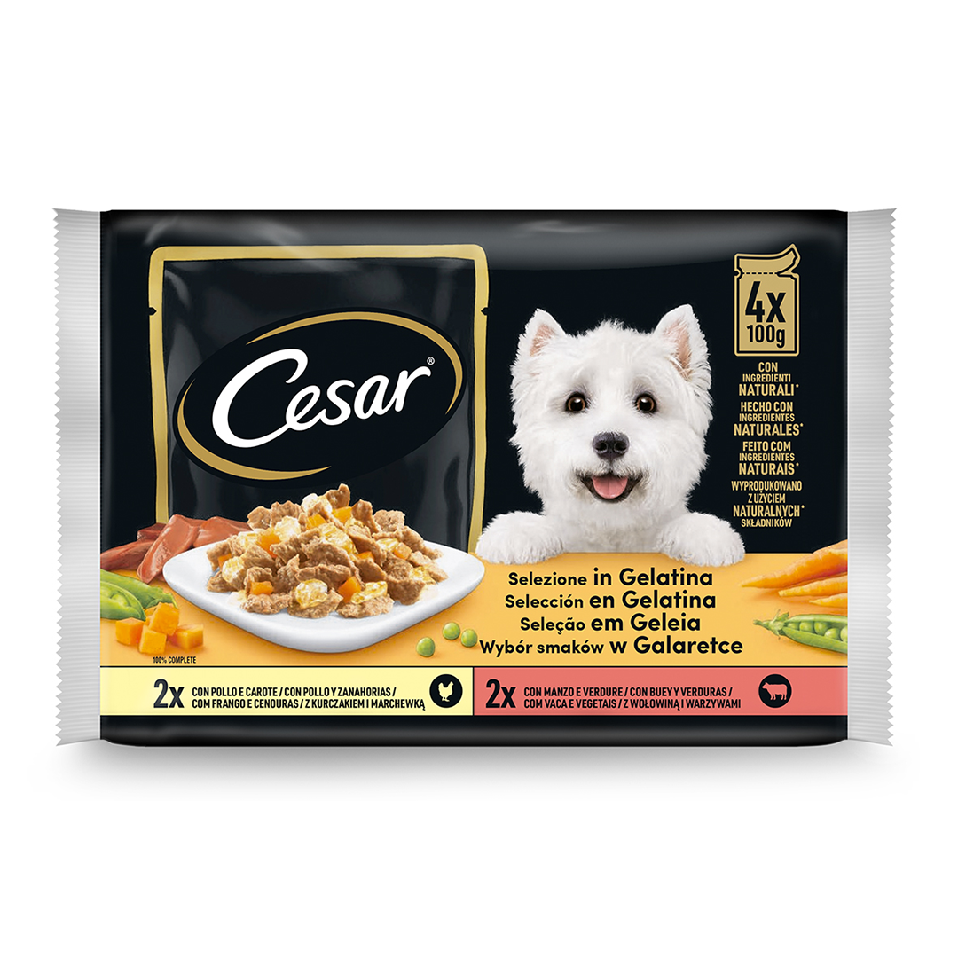 CESAR POUCH SELECCION GELATINA 4*100