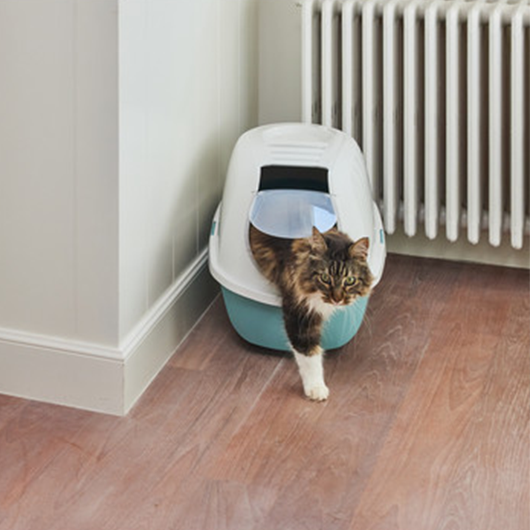 GATERA CERRADA SMART CAT ACUARELA 54,5 C - Imagen 5