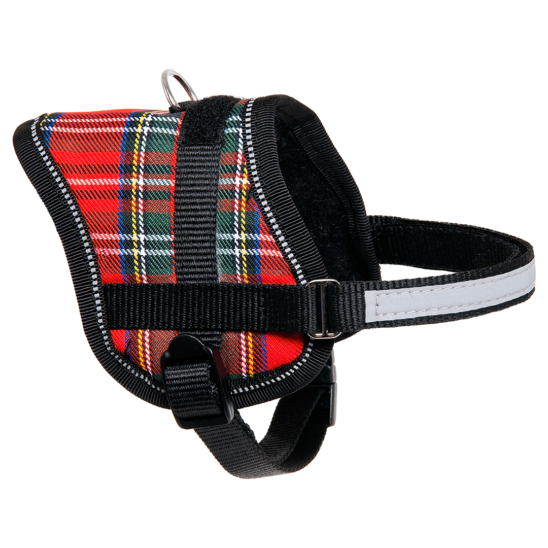 PETRAL EENY MEENY ESCOCES 36-46 CM