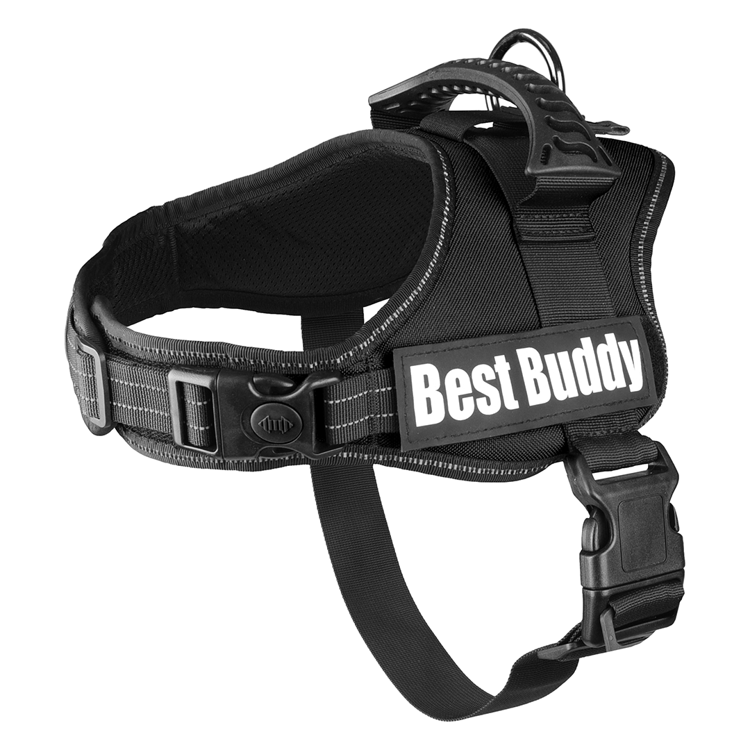 ARNES BEST BUDDY PLUTO NEG XL 80-100C*50