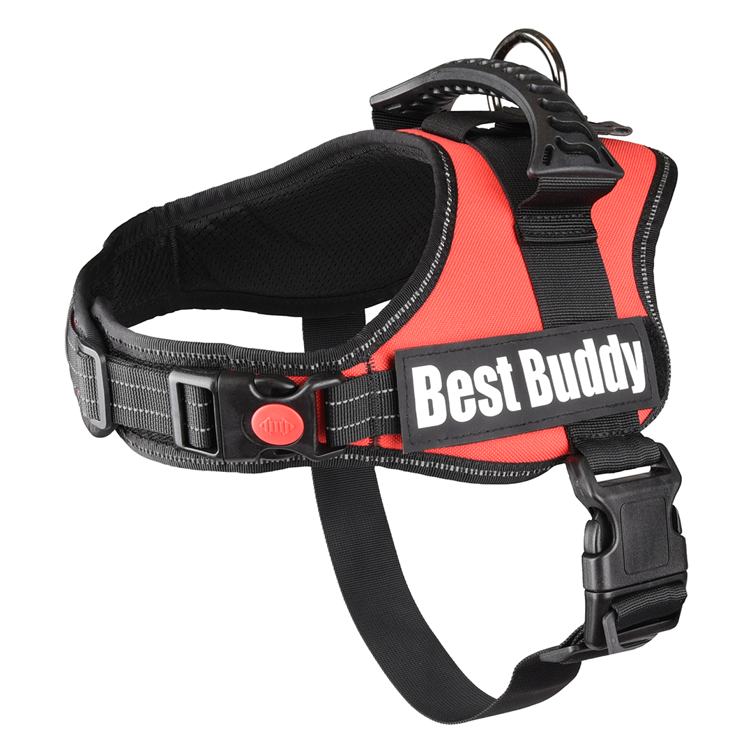 ARNES BEST BUDDY PLUTO ROJO L 70-70CM*50
