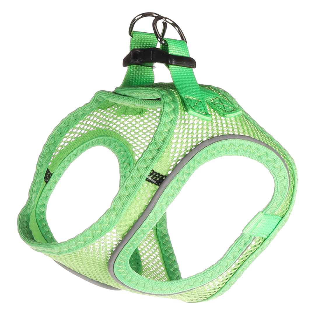 ARNES STEP&GO BENTO VERDE L 42-46CM