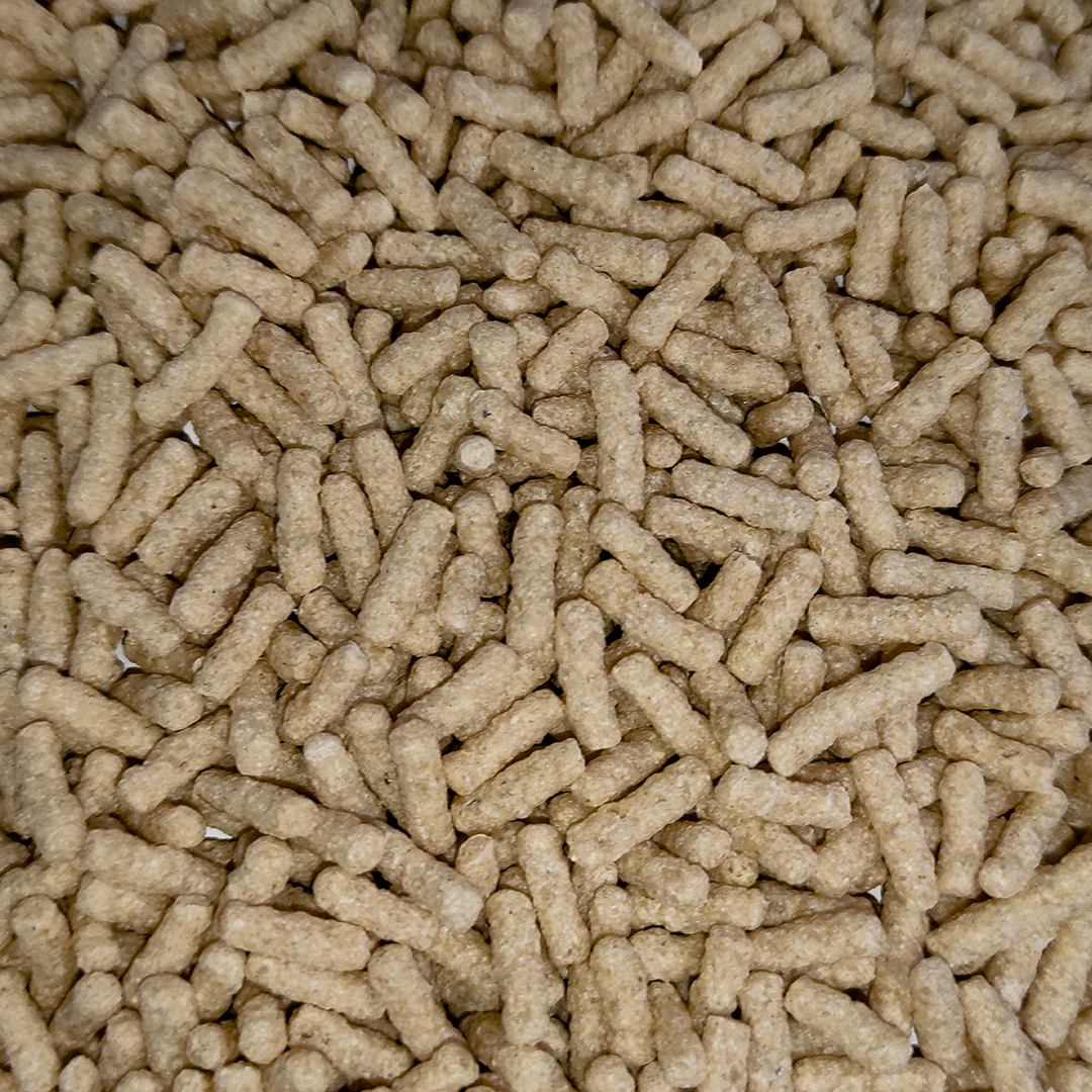 ACUALIAN GUSANITO BLANCO 5 KGS T. ACUATI