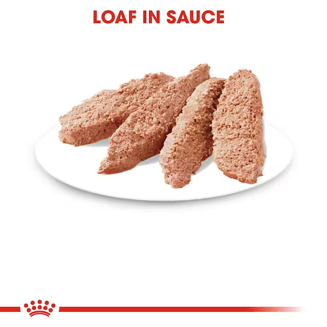 ROYAL CANIN SOBRE STERILIZED IN LOAF 85G - Imagen 4