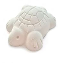 ACUALIAN CALCIO TORTUGAS