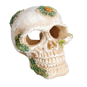 FIGURA SKULL