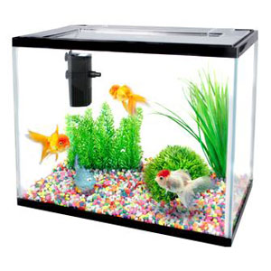 ACUARIO LOLLIPOP 16L STARTER SET