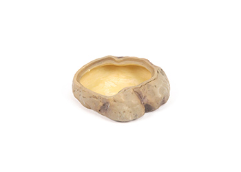 COMEDERO REPTILES CLARO 10CM