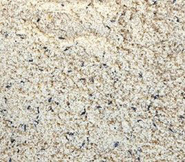 PASTA DE CRIA ALMENDRA GALIAN 25 KG