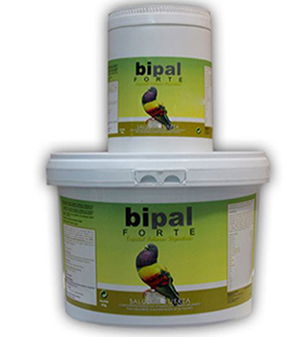 BIPAL FORTE DEPORTIVOS 1 KG