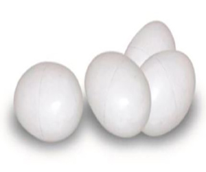 HUEVO PALOMA MACIZO