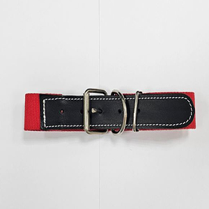 COLLAR ELASTICO 65 CM