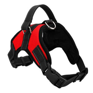 ARNES NYLON CON ASA 54-70 CM
