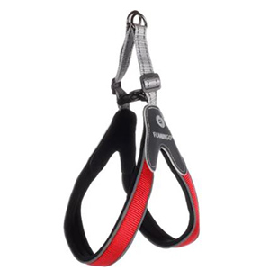 ARNES HILKA EASY ROJO "S" 35-45CM*20MM