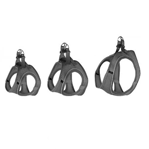 ARNES STEP&GO BENTO GRIS L 42-46CM