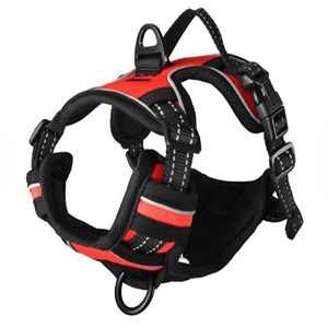 PETRAL BALOU ROJO "S" 40-55CM*20MM