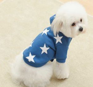 SUDADERA ESTRELLAS "L" 5859