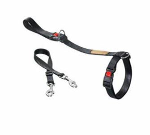 LEG LEADER M (39-60CM/60CM 20MM)