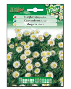 MARGARITA SILVESTRE "J. CLUB"